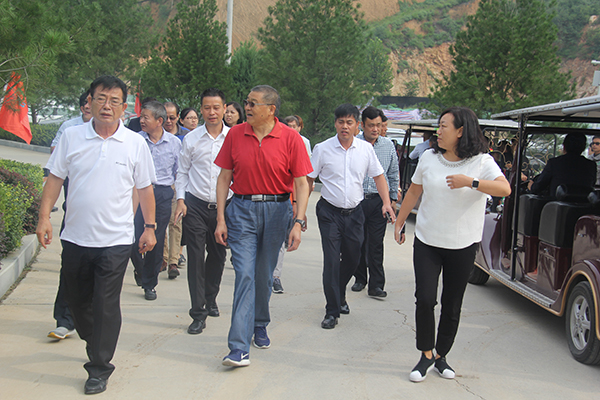 1506499663947602.jpg IMG_7740.jpg