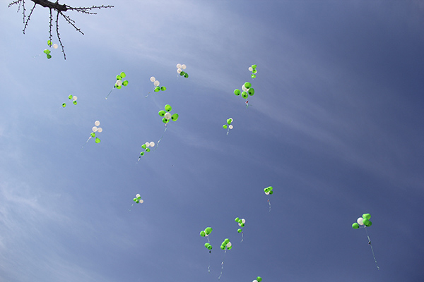 1491202648127490.jpg IMG_5282.jpg