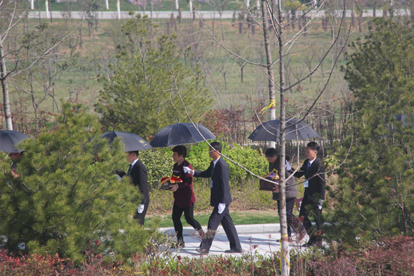 1491197085412545.jpg IMG_5174.jpg