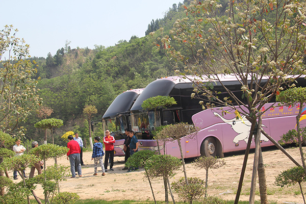 1495429166518963.jpg IMG_5787.jpg