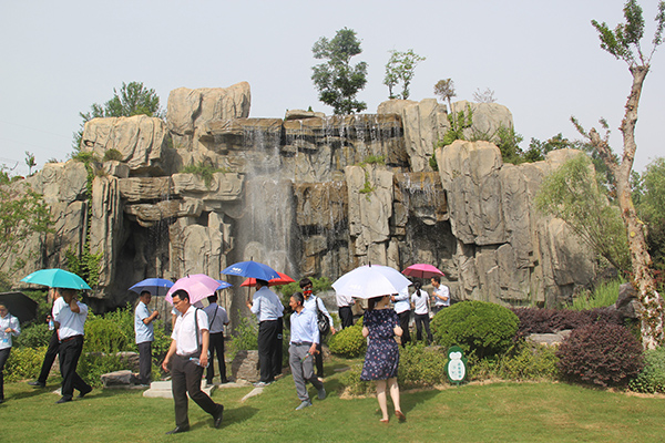 1495424767106322.jpg IMG_5971.jpg