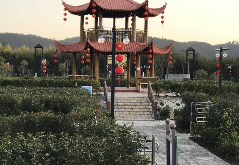 福建太陽(yáng)能路燈-月光燈工程